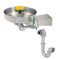 Axion<sup>®</sup> Eye/Face Wash Station, Wall-Mount Installation, Stainless Steel Bowl SGC270 | Caster Town