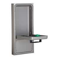 Eye/Face Wash Station, Wall-Mount Installation SGC274 | Caster Town