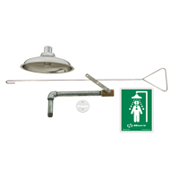 Drench Shower, Ceiling-Mount SGC283 | Caster Town