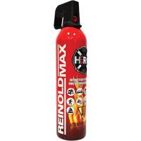 Fire Extinguisher, ABC/K, 2 lbs. Capacity SGC461 | Caster Town