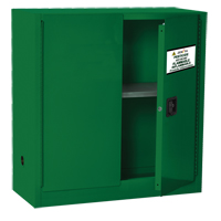 Pesticide Storage Cabinet, 30 gal., 44" H x 43" W x 18" D SGD360 | Caster Town