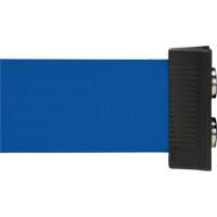 Wall Mount Barrier with Magnetic Tape, Steel, Screw Mount, 7', Blue Tape SGR025 | Caster Town