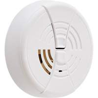 Smoke Detector SGT447 | Caster Town