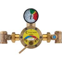 Mixing Valve for Exposed Assembly of Drench or Combination Emergency Shower, 56 GPM SGX711 | Caster Town