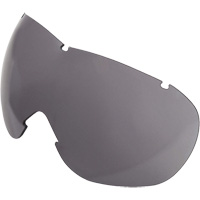 Uvex<sup>®</sup> Sub-Zero™ Goggles Replacement Lens SGX800 | Caster Town