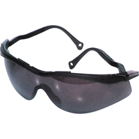 North<sup>®</sup> The Edge™ Safety Glasses, Smoke Lens, Anti-Fog/Anti-Scratch Coating, CSA Z94.3 SH061 | Caster Town