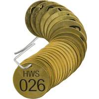 Brass Numbered "HWS" Valve Tags SX758 | Caster Town