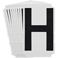 Quick-Align<sup>®</sup>Individual Gothic Number and Letter Labels, H, 4" H, Black SZ996 | Caster Town