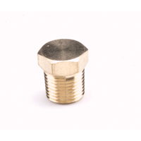 Pipe Plug Hex Heads, 1/8" TDV045 | Caster Town