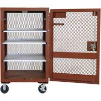 Mobile Mesh Cabinet, Steel, 22 Cubic Feet, Red TEQ807 | Caster Town