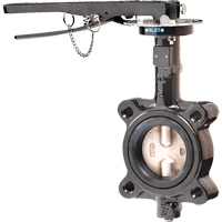 Butterfly Valves - Series BFV, 2" Pipe, 225 PSI THZ622 | Caster Town