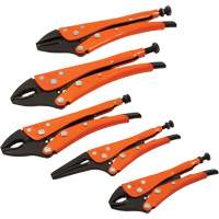 Straight Curved & Long Nose Locking Pliers Set, 5 Pieces TYR832 | Caster Town