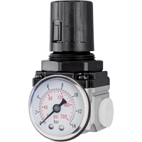 Air Regulator (Gauge Included), 1/4" NPT, 220 PSI Max. PSI, Modular TYY160 | Caster Town