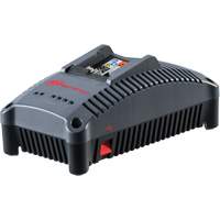 IQV Universal Tool Battery Charger, 12 V/20 V, Lithium-Ion UAE927 | Caster Town