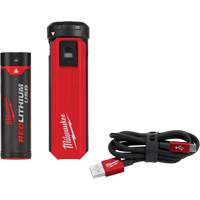 Redlithium™ USB Charger & Power Source Kit, 4 V, Lithium-Ion UAG279 | Caster Town