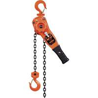 KLP Series Lever Chain Hoists, 5' Lift, 1500 lbs. (0.75 tons) Capacity, Steel Chain UAW099 | Caster Town