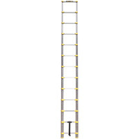 Telescopic Ladder, 3' - 12', Aluminum, 250 lbs. Capacity, Type 1 VC441 | Caster Town