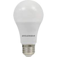 LED Bulb, A19, 8.5 W, 800 Lumens, Medium Base XG779 | Caster Town