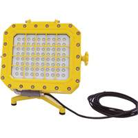 Explosion Proof Floodlight with Floor Stand, LED, 40 W, 5600 Lumens, Aluminum Housing XJ043 | Caster Town