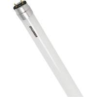 SubstiTUBE<sup>®</sup> Frosted Glass LED Bulb, 12 W, T8, 5000 K, 48" L XJ097 | Caster Town