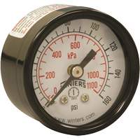 Economy Pressure Gauge, 1-1/2" , 0 - 160 psi, Back Mount, Analogue YB873 | Caster Town